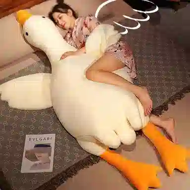 40cm70cm90cm135cm160cm