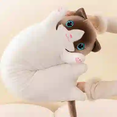 50cm70cm90cm110cm130cm