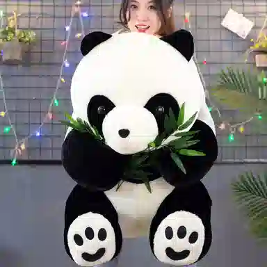 30cm40cm50cm70cm90cm