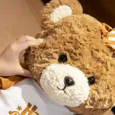 bear 25cm35cm