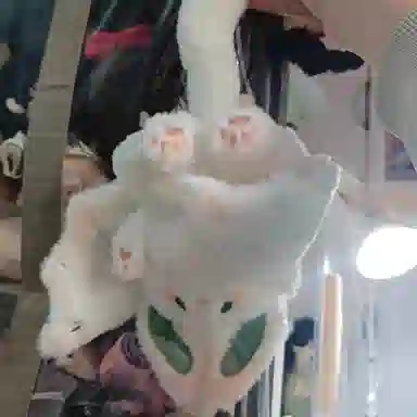 TR-WZMR 25cm35cm45cm55cm