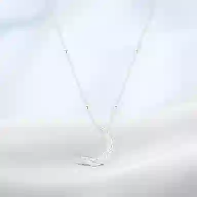 PRETTY DIARY ins S925