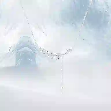 PRETTY DIARY ins S999