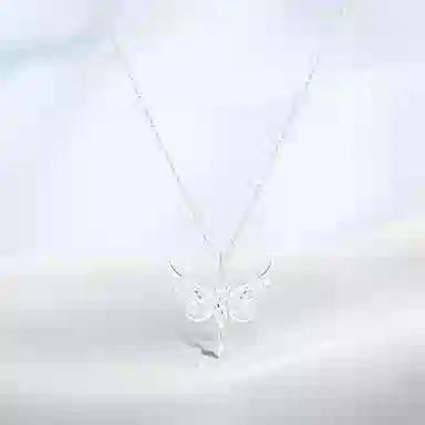 PRETTY DIARY ins S925