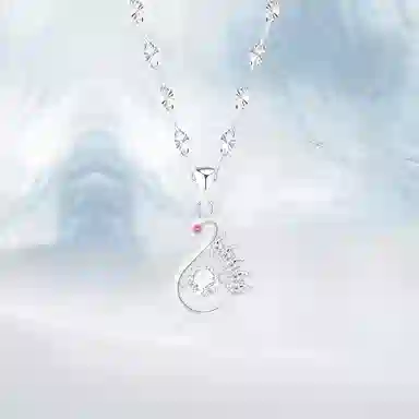 PRETTY DIARY ins S925