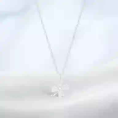 PRETTY DIARY ins S999