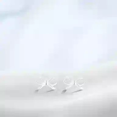 PRETTY DIARY ins S925