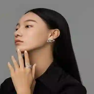 ZWU ins 925