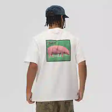 Vision Street Wear pink pigT