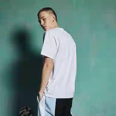 Vision Street Wear LogoT