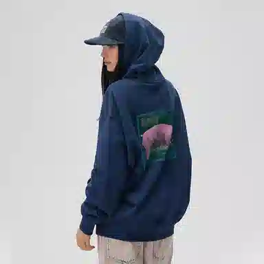 Vision Street Wear pink pig