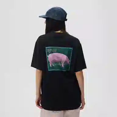 Vision Street Wear pink pigT