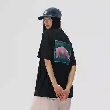 Vision Street Wear pink pigT