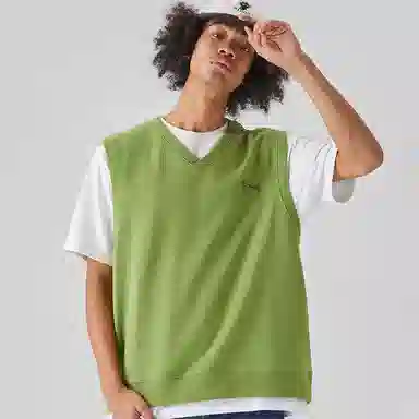 Vision Street Wear V