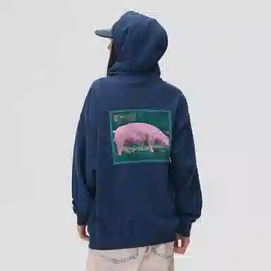 Vision Street Wear pink pig