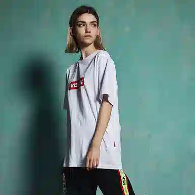 Vision Street Wear LogoT