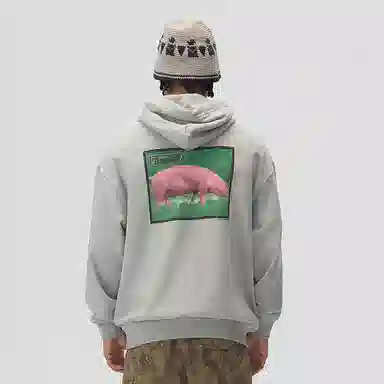 Vision Street Wear pink pig