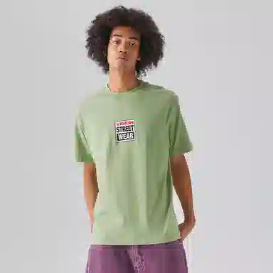Vision Street Wear BOX logo SS24T