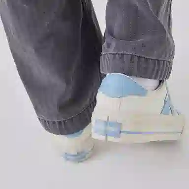 Vision Street Wear V76