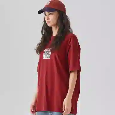 Vision Street Wear BOX logo SS24T