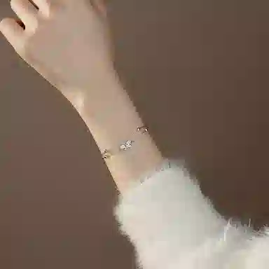 RURA S925 ins