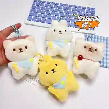 13cm11cm