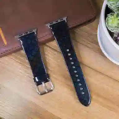 AOMN B-313 Apple Watch12345678910