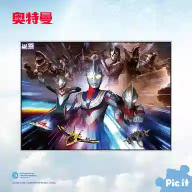 pic it TDG25 1000 pcs