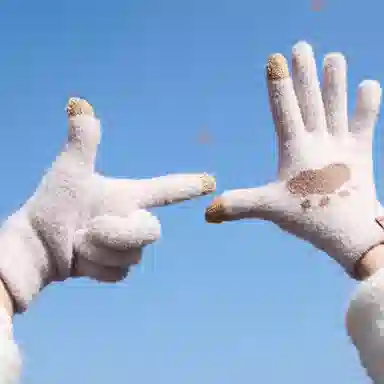 ins