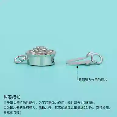 COISE diy S925