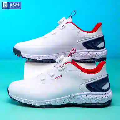 Birdie 2024