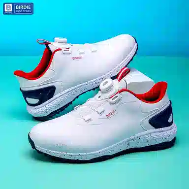 Birdie 2024