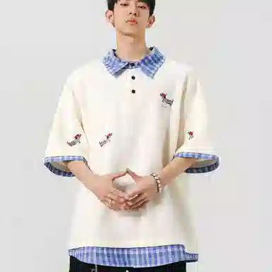 HSWLD T