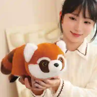 ZHUOQU 25cm35cm45cm
