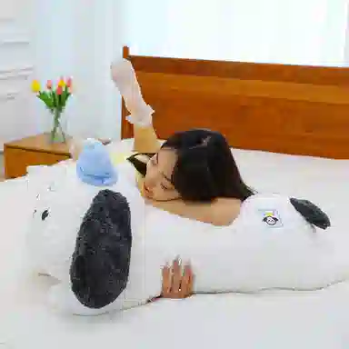 ZHUOQU 35cm45cm60cm65cm85cm