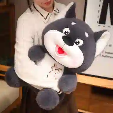 35cm50cm