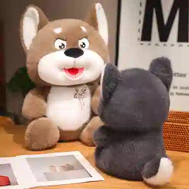 35cm50cm