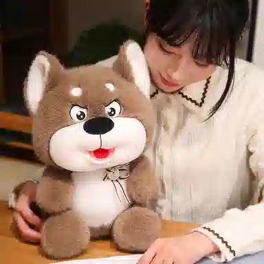 35cm50cm