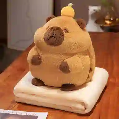 30cm100cm