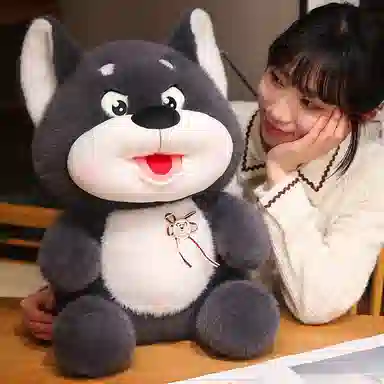 35cm50cm