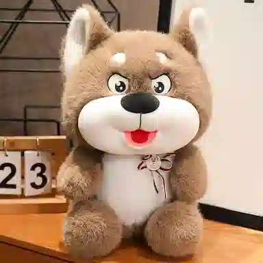 35cm50cm