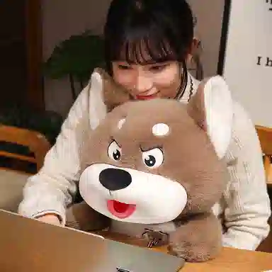 35cm50cm
