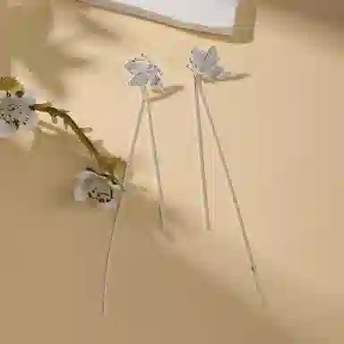 ins