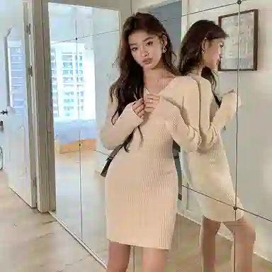 PZGE V