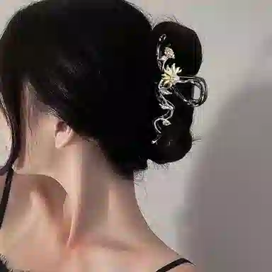 HANYUDIE