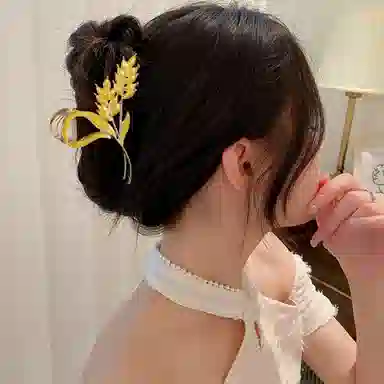 HANYUDIE