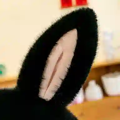 MIC RABBIT 35cm45cm55cm75cm