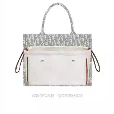 DiorBook tote