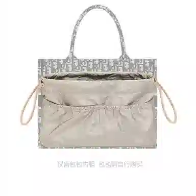 Dior Book Tote Organizer