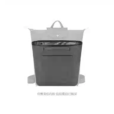 Longchamp Green